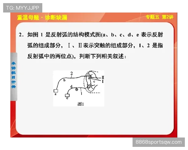 技术犯规的判定标准与常见场景解析